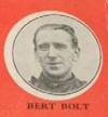 Bert Bolt